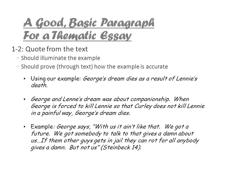Standard Essay Format Example